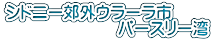 �V�h�j�[�x�O�E���[���s �@�@�@�@�@�@�@�p�[�X���[�p